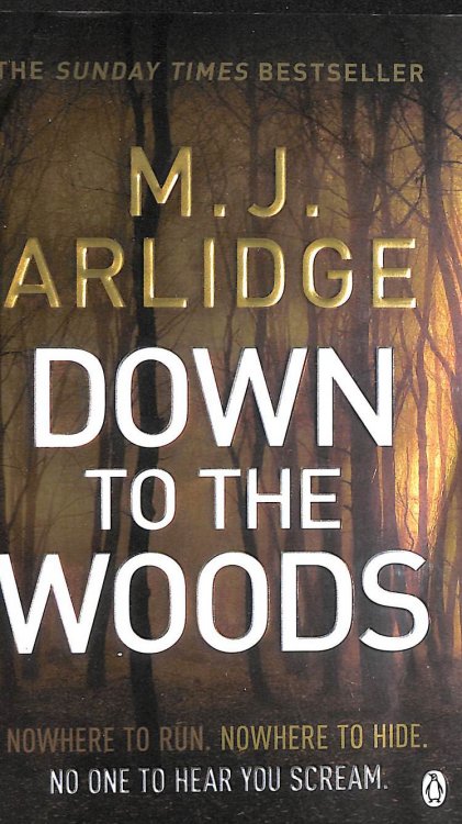 Down to the Woods: DI Helen Grace 8 (Detective Inspector Helen Grace)