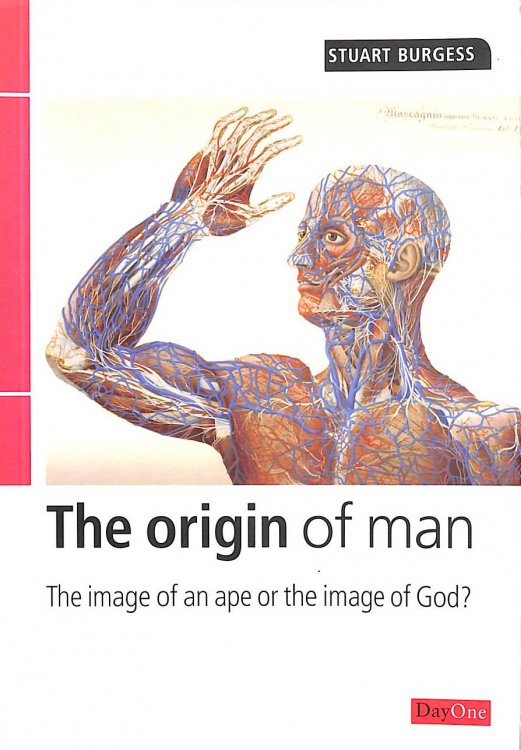 Origin Of Man: The Image Of An Ape Or The Image Of God