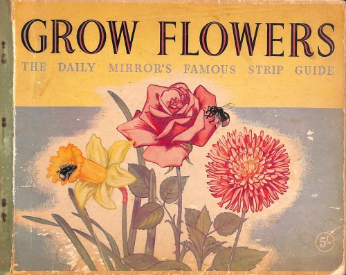 Grow flowers: the Daily Mirror's famous strip guide