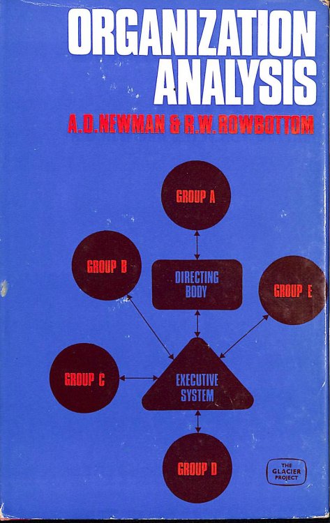 Organization Analysis