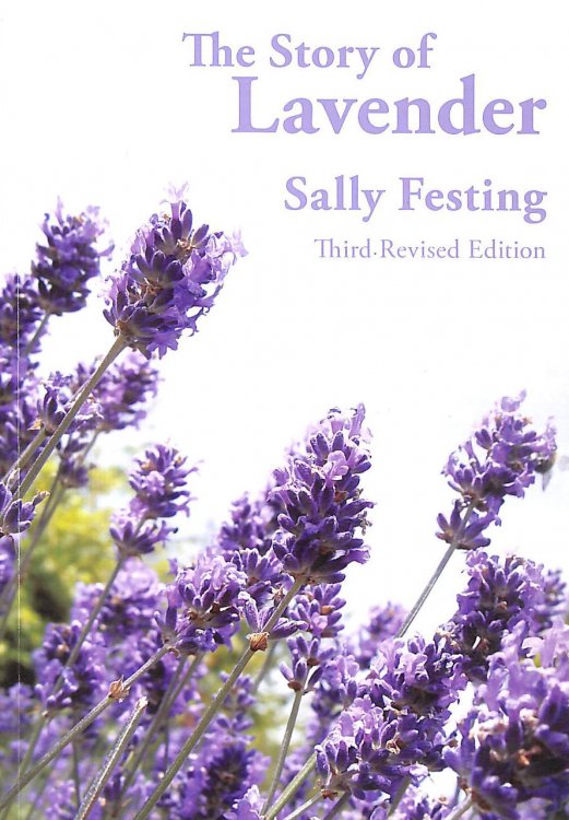 The Story of Lavender