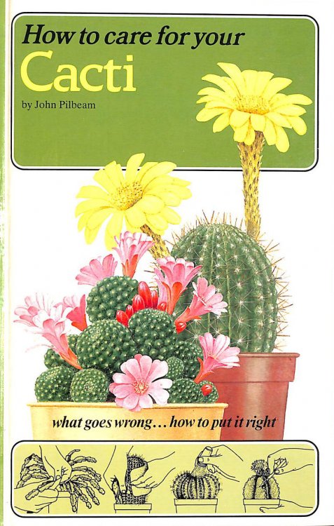 How to Care for Your Cacti (How to care for your houseplants)