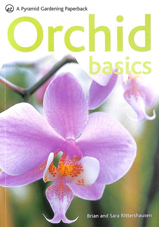 Orchid Basics (Pyramids)