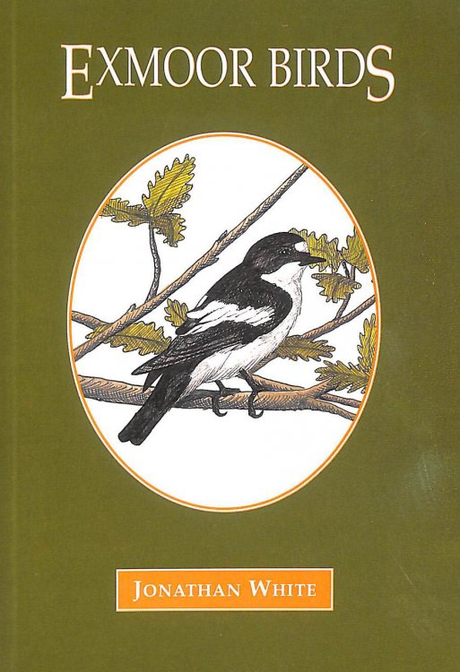 Exmoor Birds