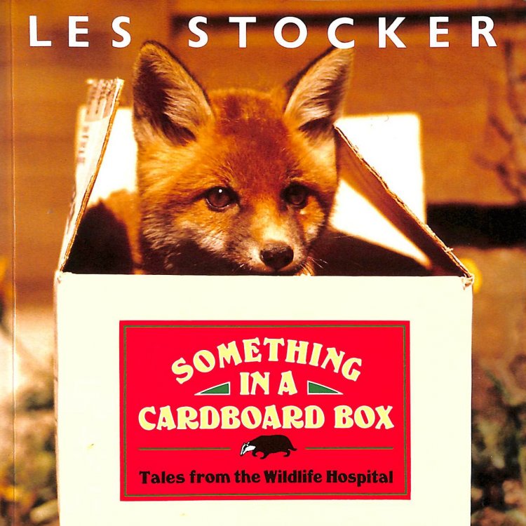 Something in a Cardboard Box: Tales from a Wildlife Hospital
