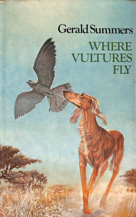 Where Vultures Fly