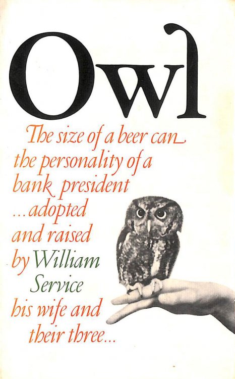 Owl