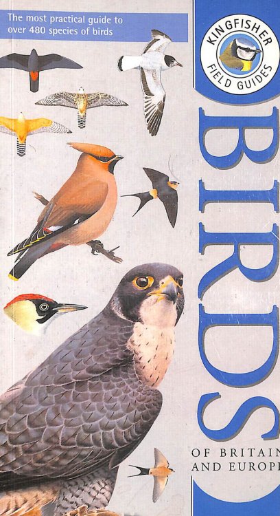 Kingfisher Field Guide to the Birds of Britain and Europe (Kingfisher field guides)