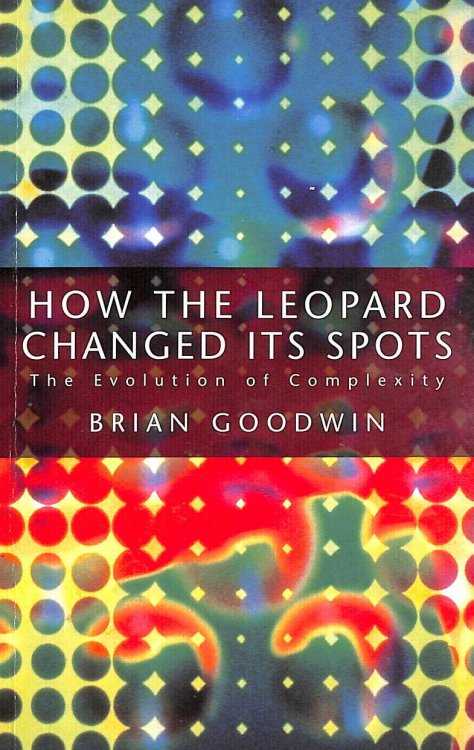 How The Leopard Changed Its Spots: Evolution of Complexity
