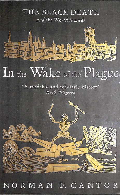 In The Wake Of The Plague: The Black Death And The World It Made