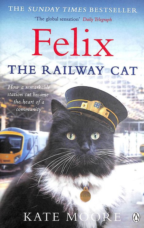 Felix the Railway Cat