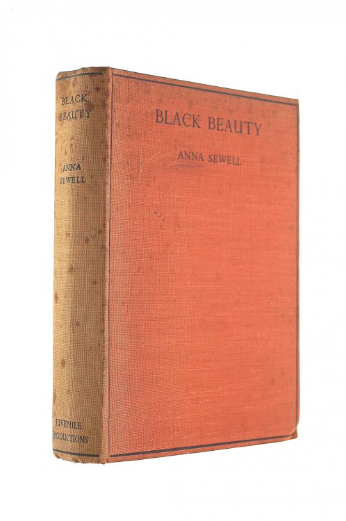 Black Beauty