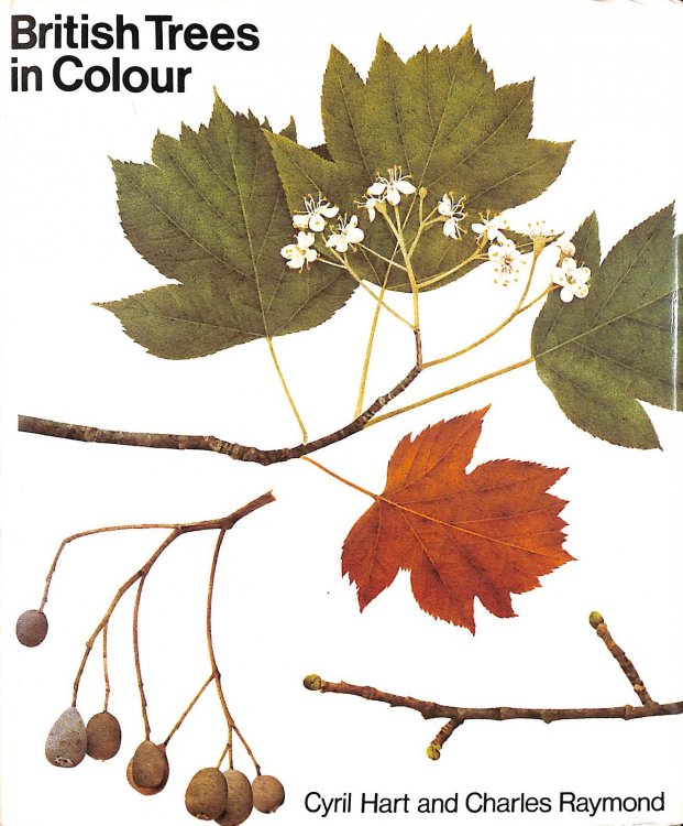 British Trees in Colour