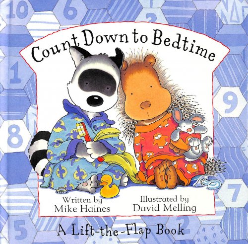 Countdown to Bedtime - Lift the Flap book.
