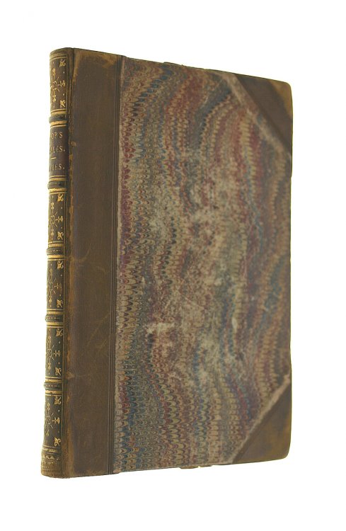 Aesop's Fables : A New Version Chiefly from Original Sources