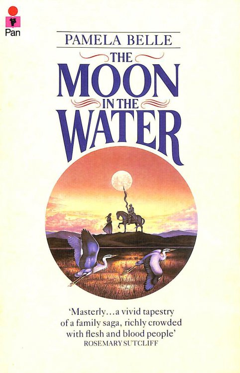 The Moon In Water