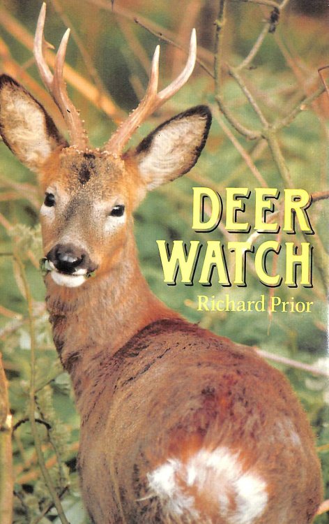 Deer Watch