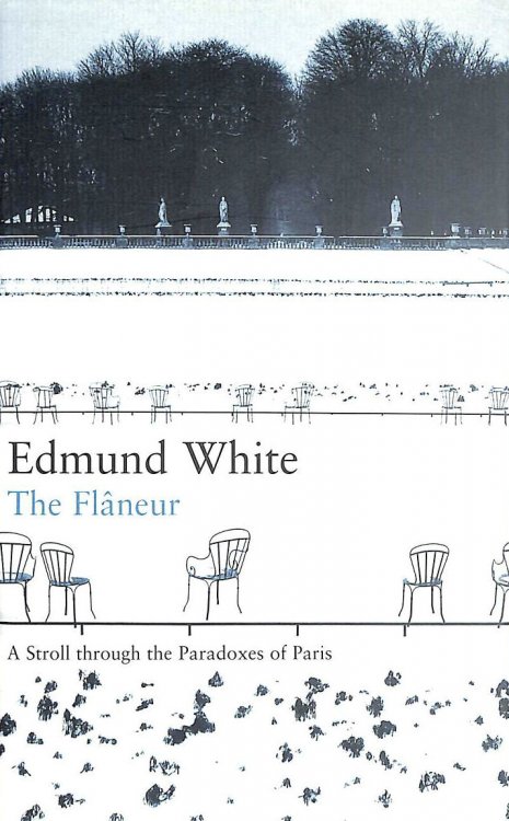 The Flaneur: A Stroll through the Paradoxes of Paris (Writer and the City)