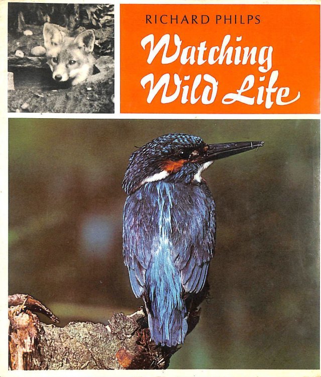 Watching Wild Life