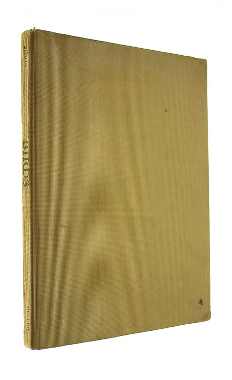 The Young Pathfinder's Book Of Birds