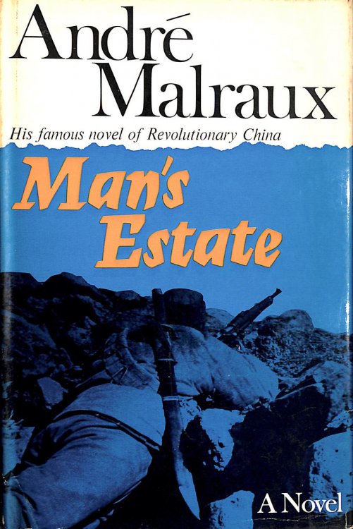Man's Estate