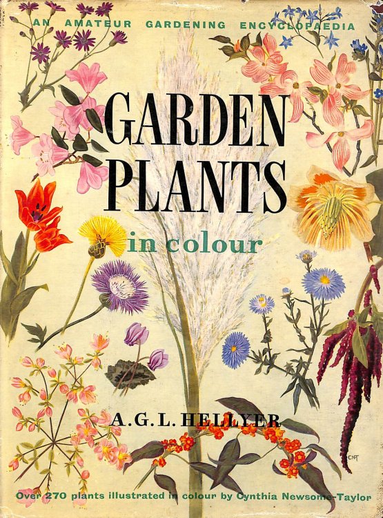 Garden Plants In Colour