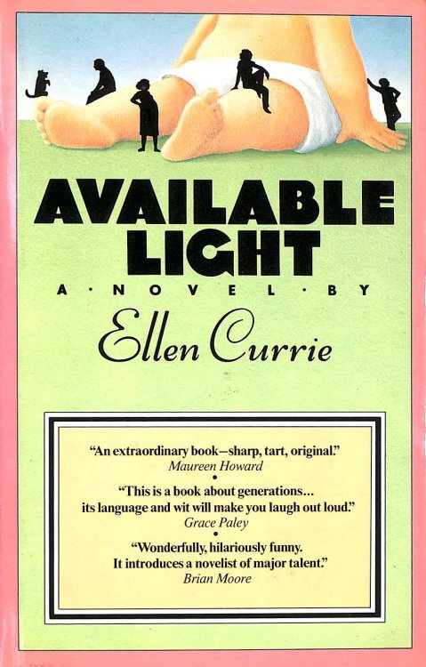 Available Light: A Novel