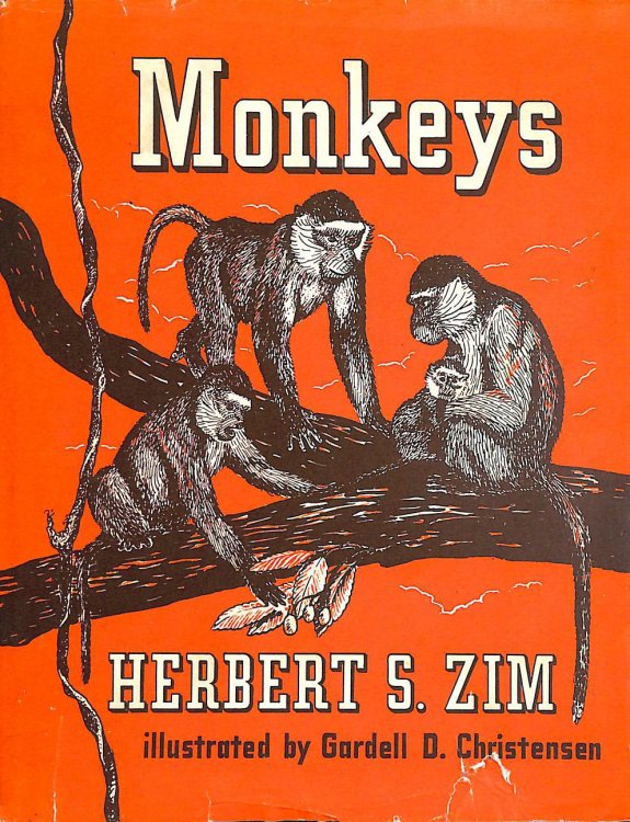 Monkeys