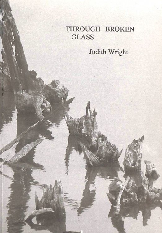 Through Broken Glass