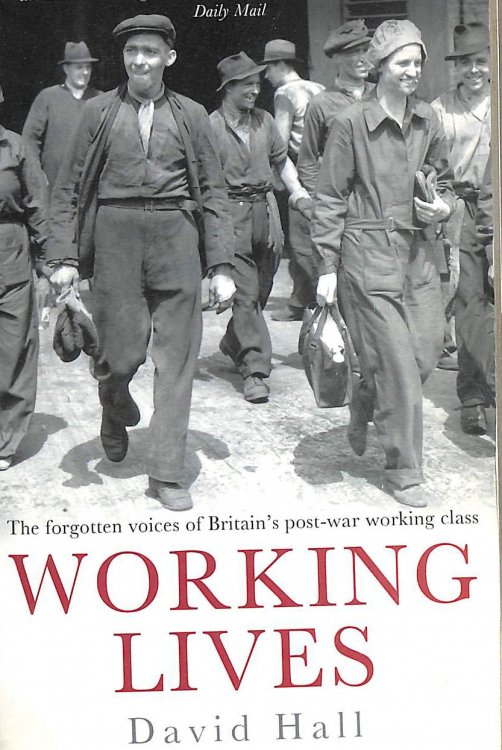 Image for Working Lives Working Lives