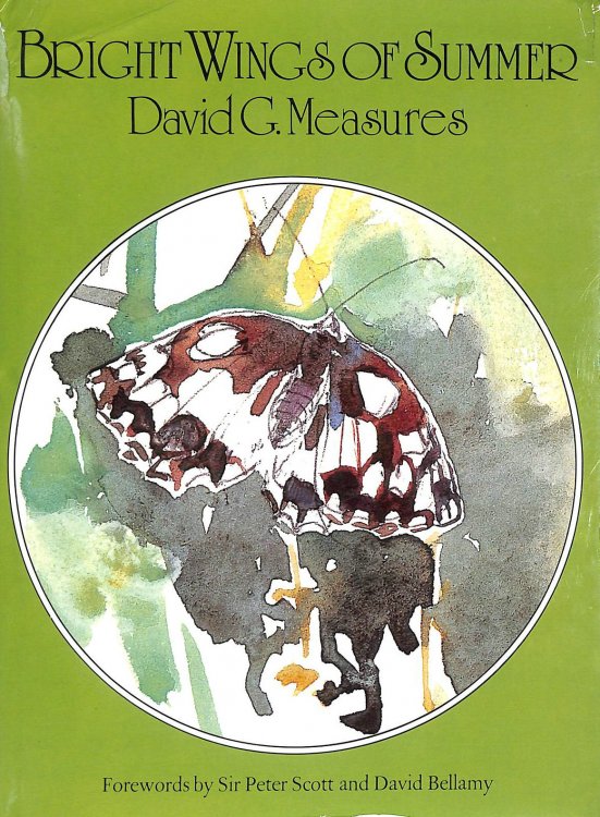 Image for Bright Wings of Summer Bright Wings of Summer