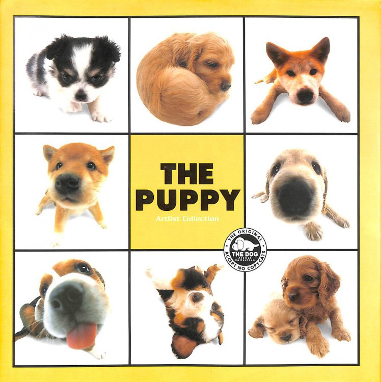 The Puppy