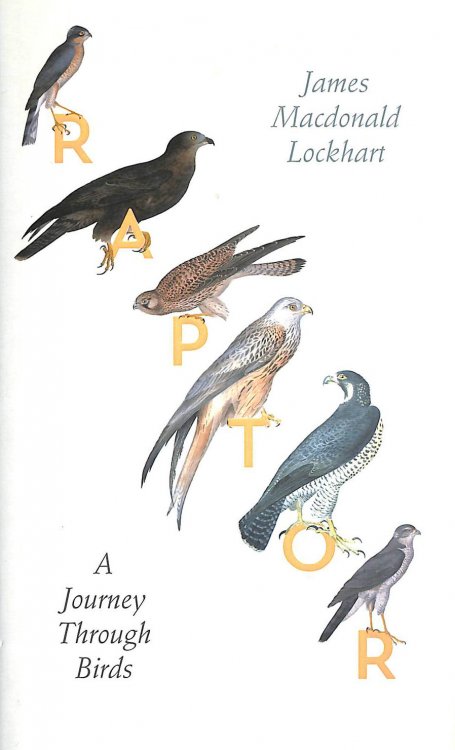 Raptor: A Journey Through Birds