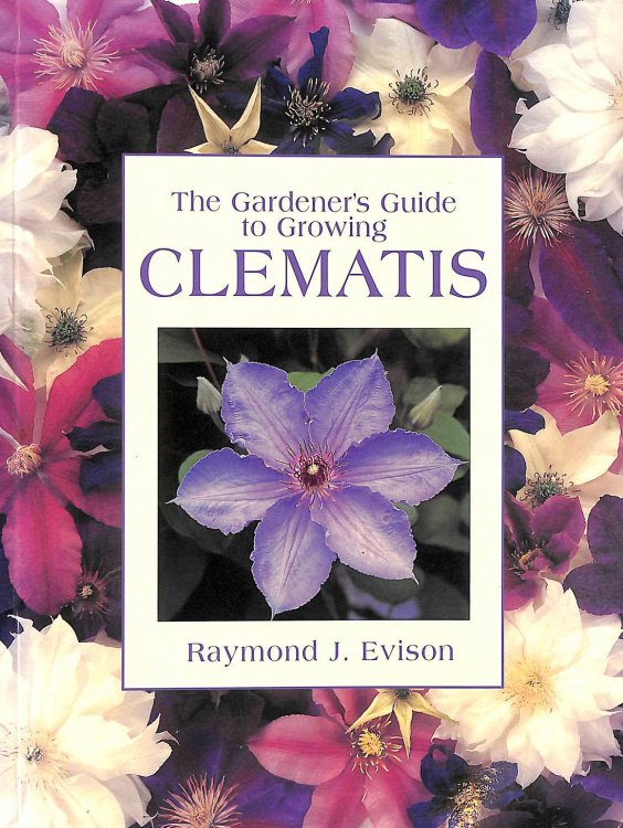 The Gardener's Guide to Growing Clematis