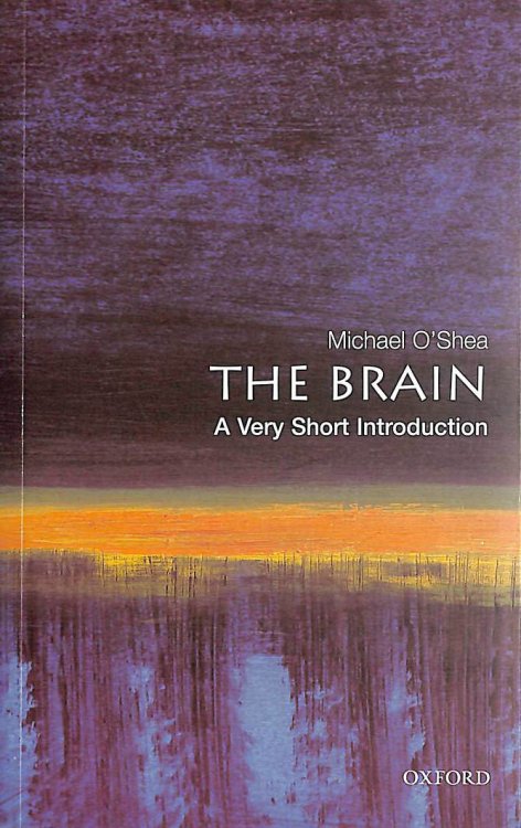 The Brain: A Very Short Introduction (Very Short Introductions)