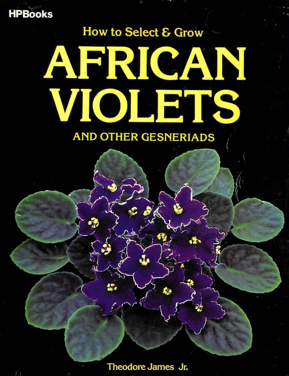 African Violets and Other Gesneriads
