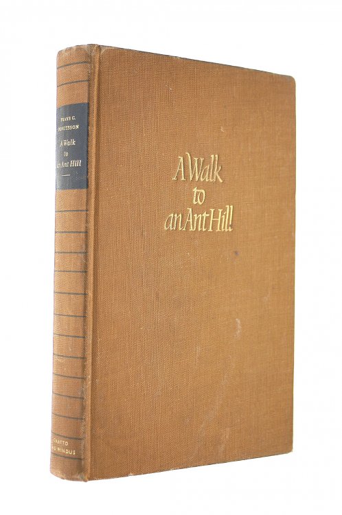 A Walk to An Ant Hill and Other Essays