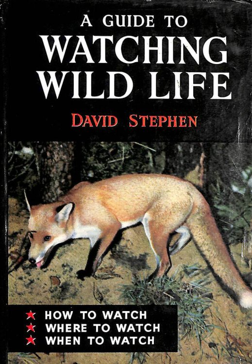 A Guide to Watching Wildlife