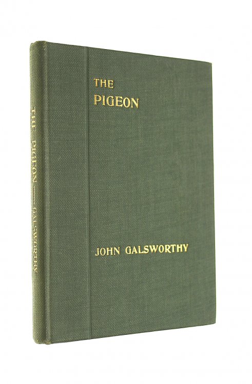 The Pigeon