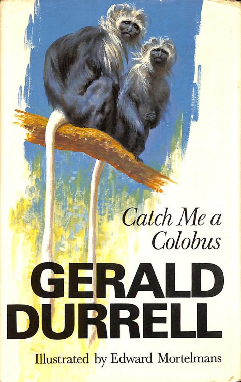 Catch Me a Colobus