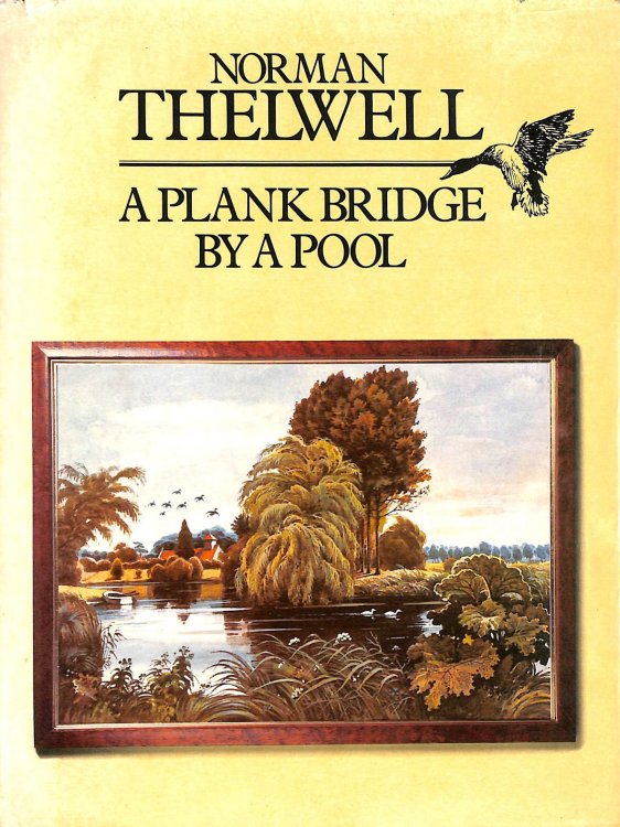 A Plank Bridge By A Pool