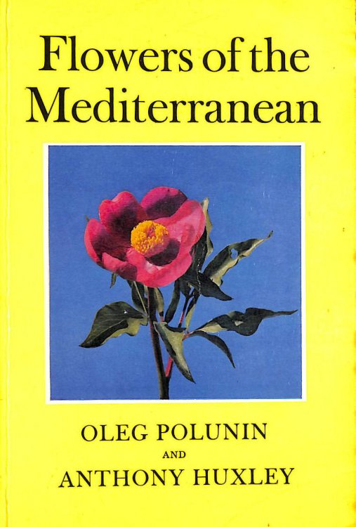 Flowers of the Mediterranean