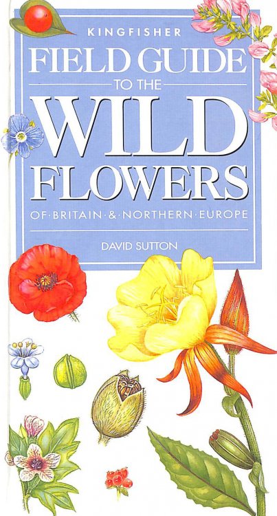 Wild Flowers of Britain and Northern Europe (Kingfisher field guides)