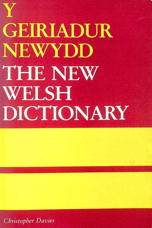 Geiriadur Newydd: New Welsh Dictionary