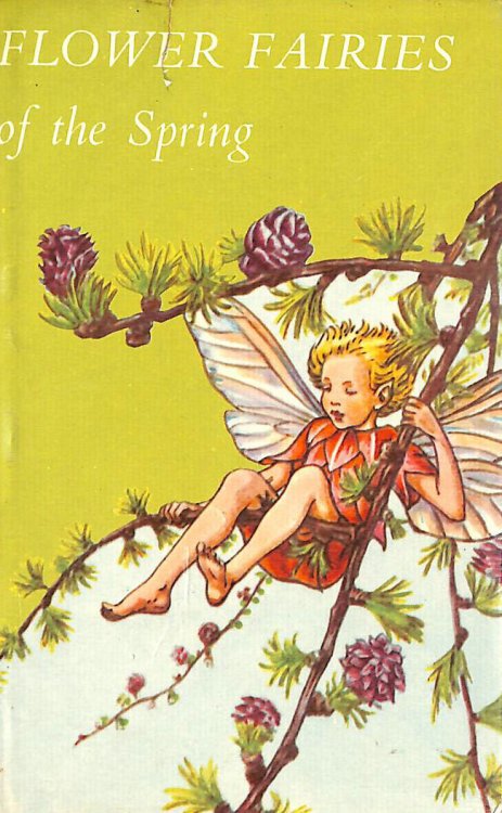 Flower fairies of the spring