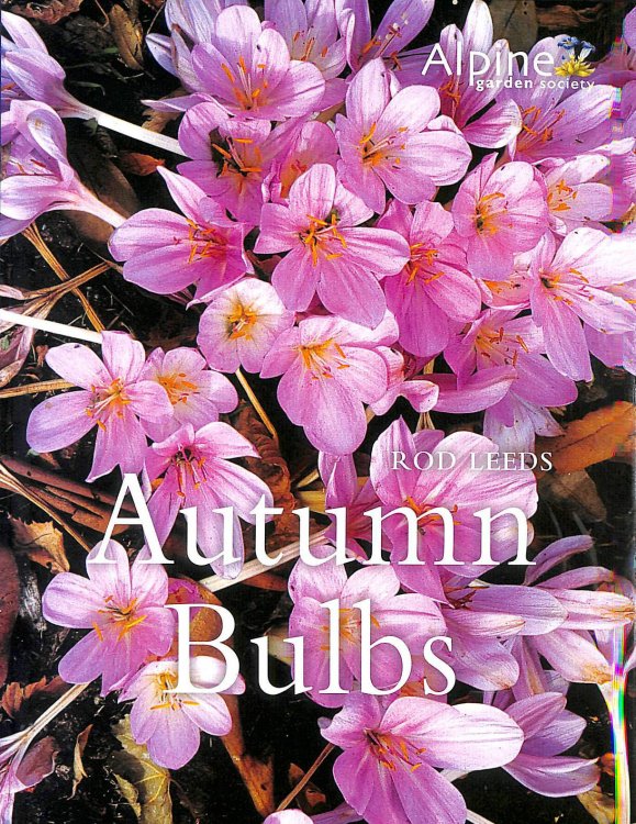 Autumn Bulbs