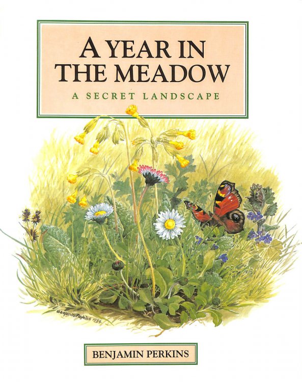 A Year in the Meadow: The Secret Landscape