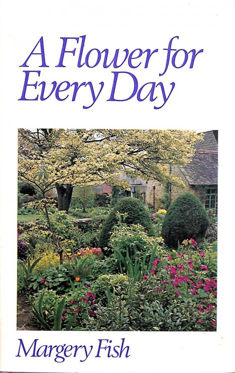 A Flower For Everyday