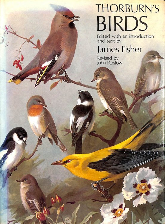 Thorburn's Birds
