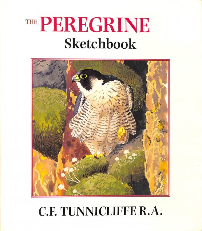 The Peregrine Sketchbook